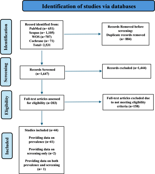 The impact of sociodemographic factors on diabetic retinopathy screening and prevalence: a systematic review and meta-analysis