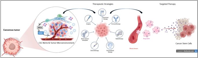 Targeting cancer stem cells: advances in small molecules, biologics, and immunotherapies