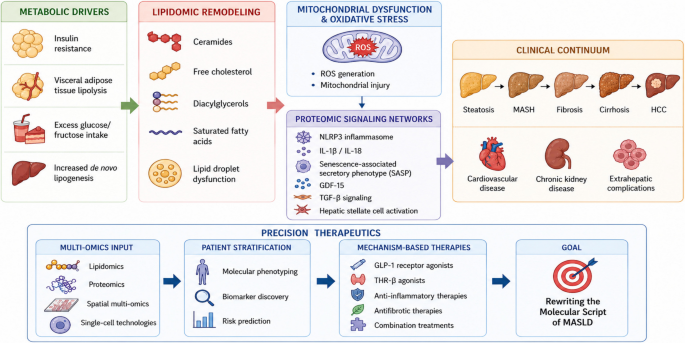Lipidomics and proteomics in MASLD: reading the molecular script toward precision therapeutics