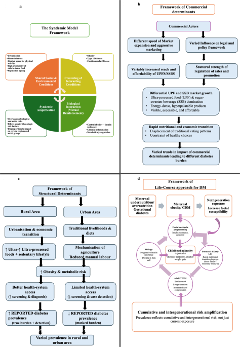 Global trends in the prevalence of type 2 diabetes mellitus: understanding trajectories through conceptual frameworks