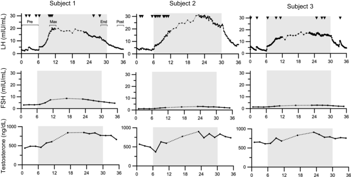 Dynamic modulation of LH secretion by continuous kisspeptin infusion in healthy men