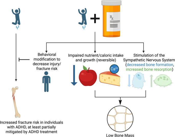 Stimulant Medications and Bone Health