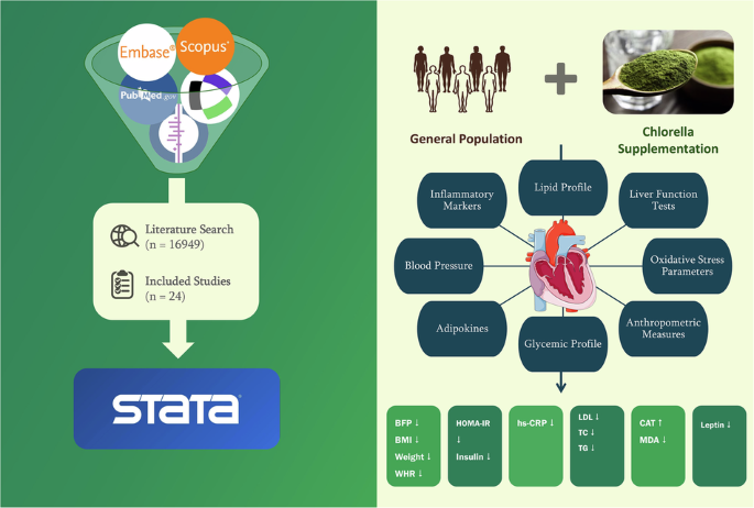 Beneficial effects of Chlorella species supplementation in the general population: a GRADE-assessed systematic review and dose–response meta-analysis