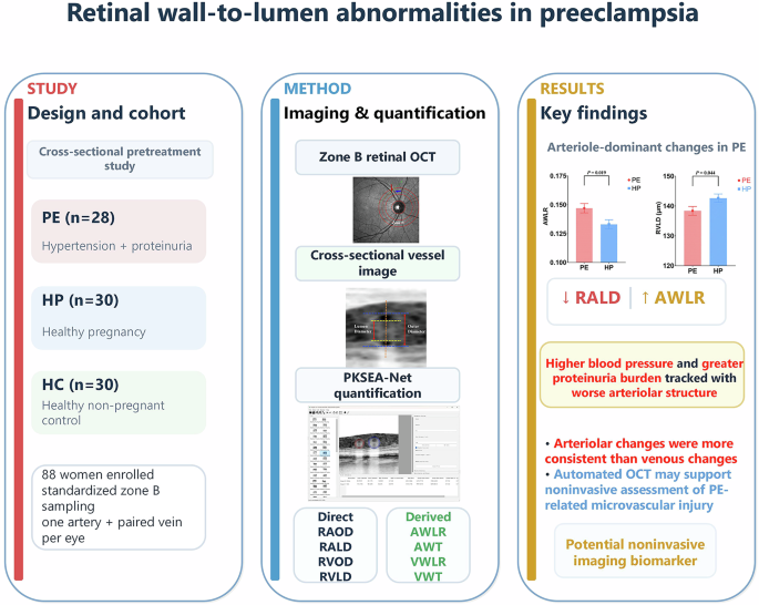 Automated optical coherence tomography quantification of retinal wall-to-lumen alterations in preeclampsia