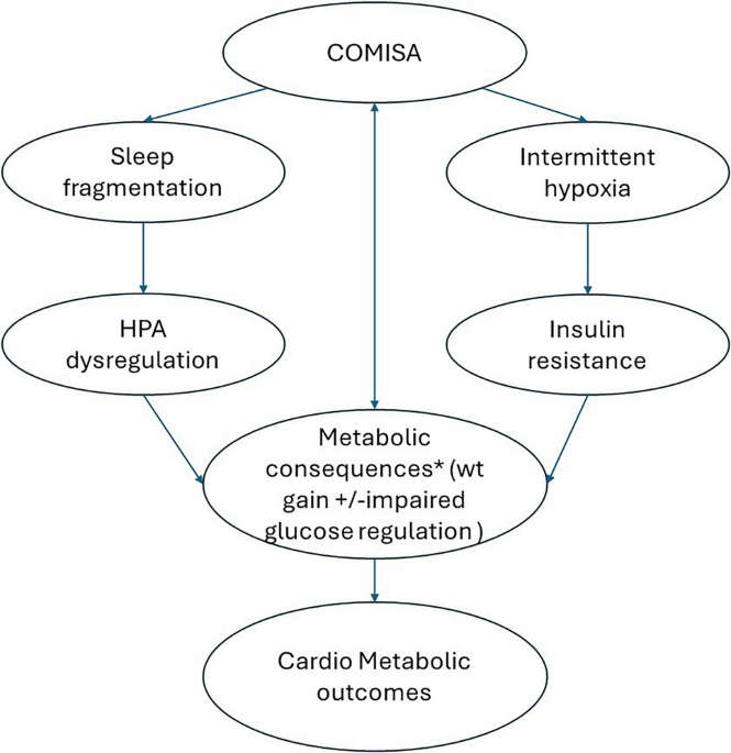 Beyond coexistence: attempting to unlock the diabetes–COMISA Link