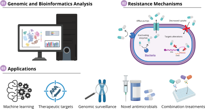 Innovative approaches to therapeutic target discovery amid the global challenge of antimicrobial resistance