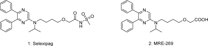 Structure-optimization and structure-activity relationship of diphenylpyrazinyl aminoalkoxyacetic acid derivatives: piperidine substitution and hydrophobic modification as key strategies for IP receptor agonists