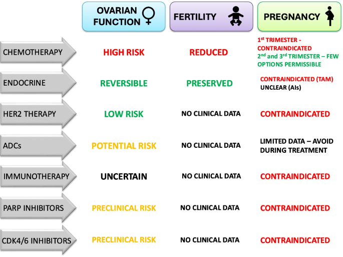 Oncofertility in the Age of HER2 Blockade, Immunotherapy, PARP inhibitors, CDK4/6 inhibitors and Endocrine Treatment: Unanswered Questions in Breast Cancer
