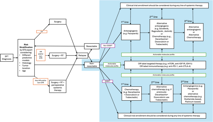 Systemic Therapy for Solitary Fibrous Tumor