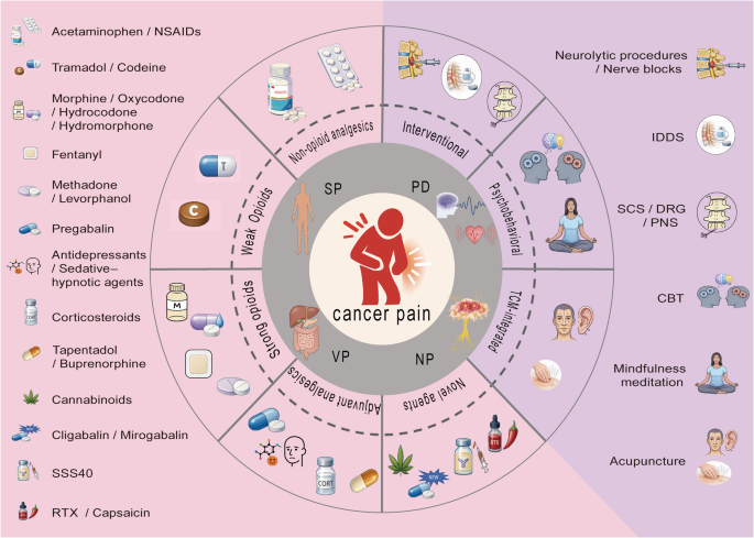 Advances in Pharmacologic- and Non-pharmacologic Interventions for Cancer Pain: A Narrative Review