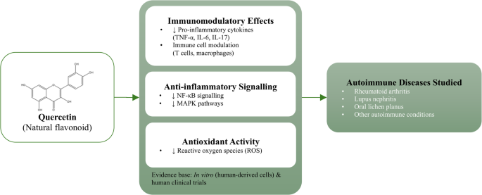 Therapeutic and pharmacological effects of quercetin in autoimmune diseases: a systematic review of preclinical and clinical evidence