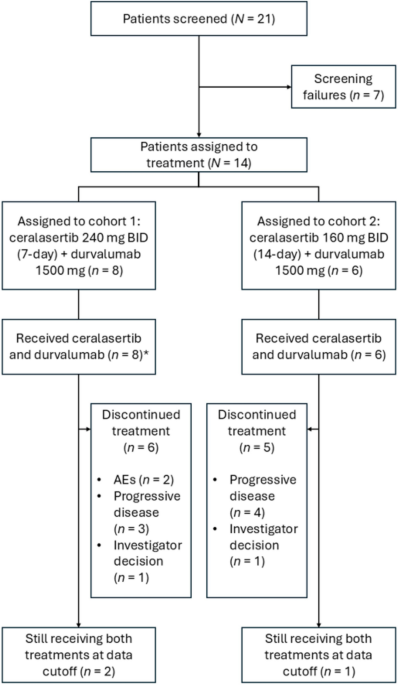 Ceralasertib Plus Durvalumab in Chinese Patients with Advanced Solid Tumors: A Nonrandomized Clinical Trial