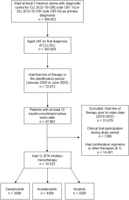 Real-World Outcomes Among Medicare Beneficiaries Treated with Bruton Tyrosine Kinase Inhibitors for Treatment-Naïve CLL