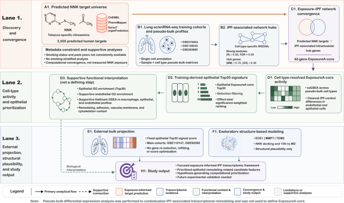 Exposure-informed lung transcriptomic analysis links predicted NNK targets to cell type-specific remodeling programs in idiopathic pulmonary fibrosis