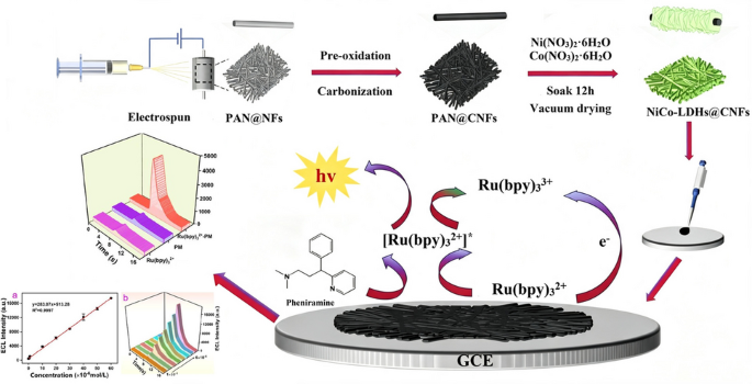 Electrochemical luminescence sensor based on NiCo-LDHs@CNFs is used for accurate detection of pheniramine maleate