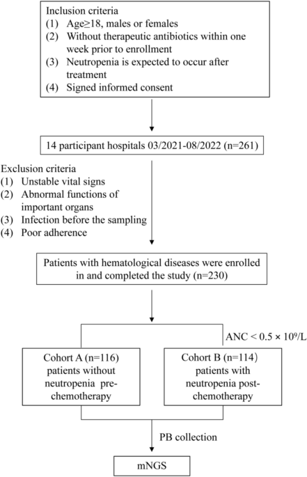 Clinical Research on Microecological Landscape for Infection Risk Stratification in Newly Diagnosed Patients with Hematological Conditions