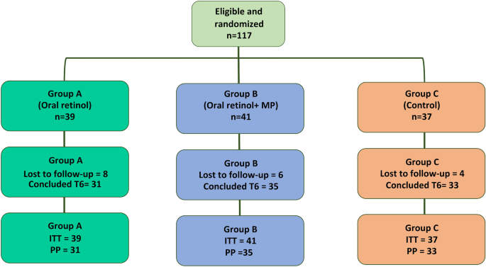 Oral Retinol, Alone or Combined with Medical Photoprotection, in Patients with Actinic Keratosis: A Randomized, Open-Label, Prospective, Multicentric Study