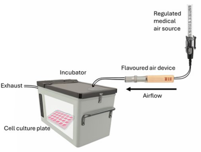 Toxic in vitro effects of flavoured-air inhalers containing essential oils in differentiated human nasal epithelial cells at air–liquid interface