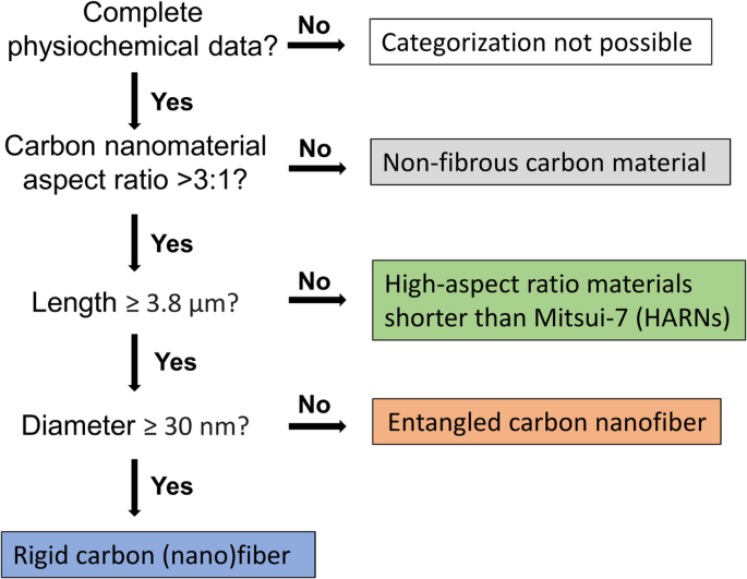 Involvement of lysosomal proteins in morphology-driven toxicity of (nano)fibers