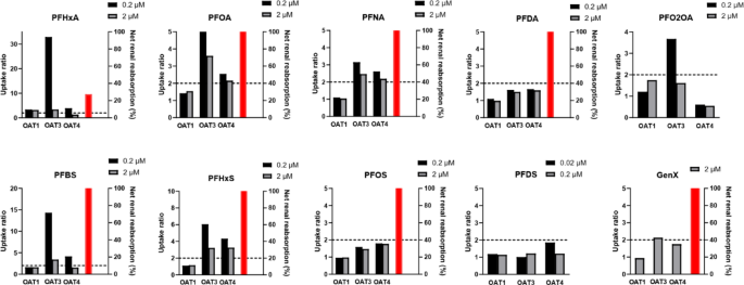 Comparative in vitro study of structure related uptake of ten perfluoroalkyl substances by human and rat renal transporters