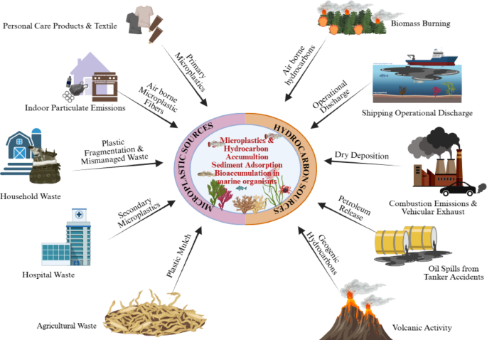 Marine bacteria and fungi: the hidden treasure of oceans in the biodegradation of microplastics and hydrocarbons integrated with omics technologies