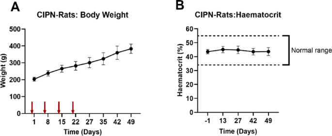 An NLRP3 inflammasome inhibitor evoked dose-dependent anti-allodynia in the hindpaws of a rat model of chemotherapy-induced peripheral neuropathy