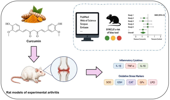Effects of curcumin on inflammatory and oxidative stress related markers in rat models of experimental arthritis: a systematic review and meta-analysis