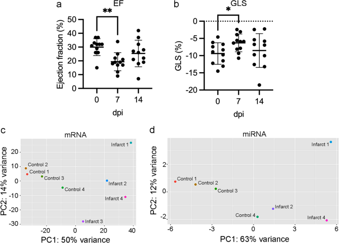 MiR-145-5p modulates collagen production and fibroblast behaviour after cardiac injury partially via COL5A1