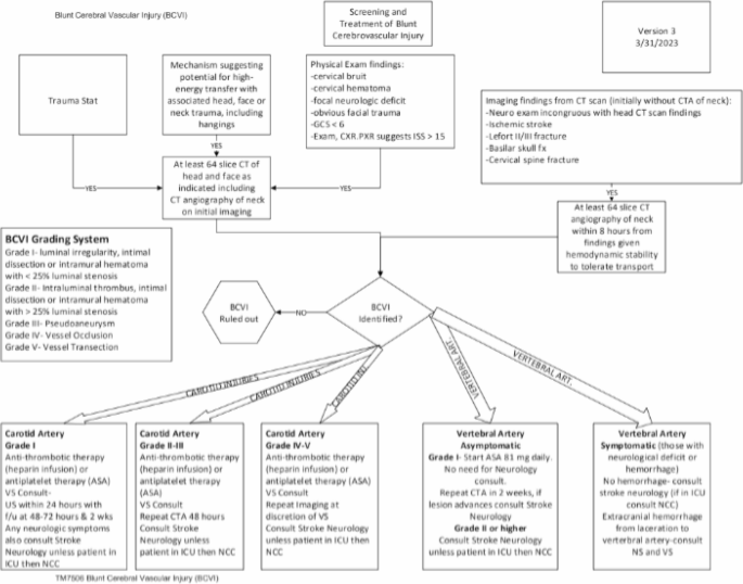 Diagnostic yield and clinical predictors of blunt cerebrovascular injury: A CTA utilization review at a level I trauma center