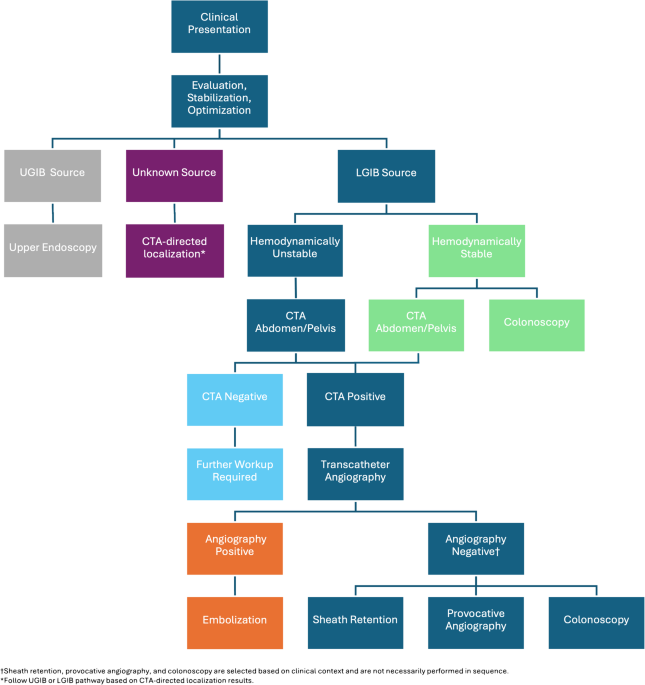 CTA-positive, angiography-negative lower GI bleeding: an institutional imaging-guided management algorithm