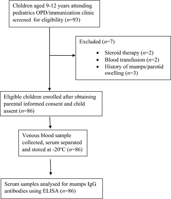 Seroprotection Against Mumps in MMR Vaccinated Children Aged 9–12 Years: A Cross-Sectional Study