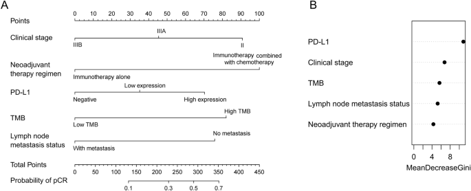 Development and validation of a PD-L1 and tumor mutational burden-based predictive model for pathological complete response after neoadjuvant immunotherapy in resectable lung cancer