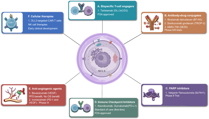 Small-Cell Lung Cancer: Biology, Translational Science and Clinical Innovation