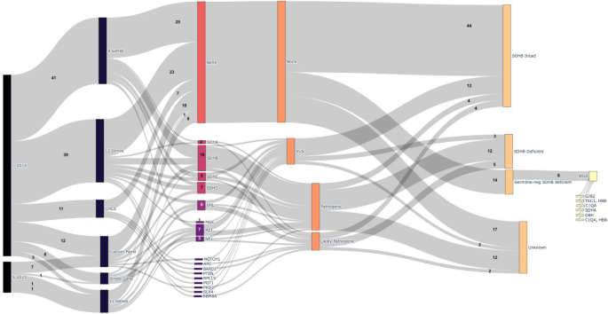 Comprehensive Genomic Analysis in Hereditary Adrenal and Extra-Adrenal Paragangliomas