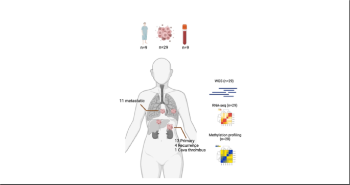 Genomic Catastrophe Defines the Evolutionary Trajectory of Adrenocortical Carcinoma