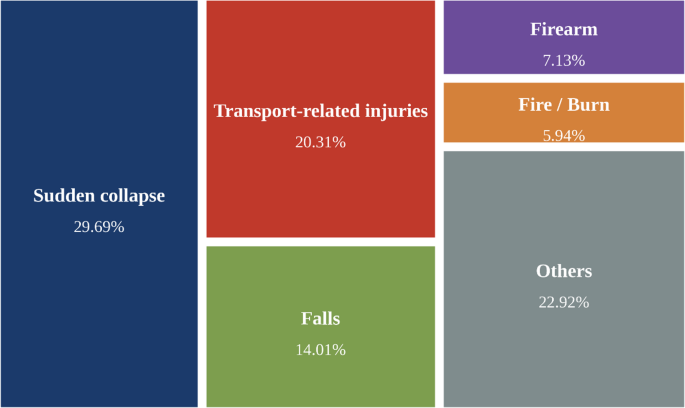 Fentanyl in forensic autopsies: Trends, circumstances, and toxicological findings