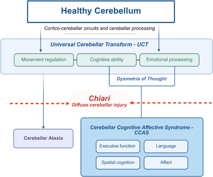 Chiari I Malformation as a Human Disease Model of Cerebellar Cognitive–Affective Dysfunction