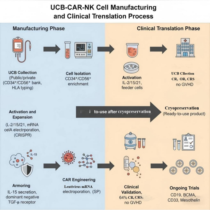 Umbilical cord blood-derived CAR-NK cells: an emerging off-the-shelf platform for cancer immunotherapy