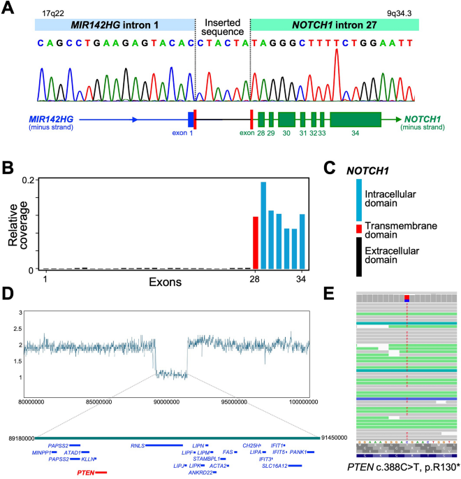 Pediatric T-cell lymphoblastic lymphoma with t(9;17)(q34;q23)-associated N-terminally truncated NOTCH1 activation: a case report