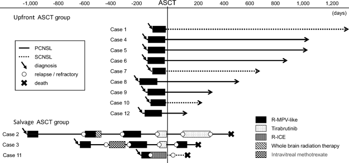 Timing of autologous stem cell transplantation and induction response in central nervous system lymphoma