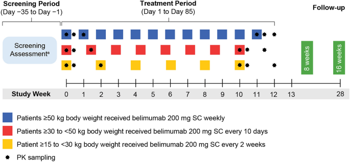 Subcutaneous Belimumab Demonstrates Consistent Steady-State Pharmacokinetics and is Well Tolerated in Paediatric Patients with SLE in China: An Open-Label Study