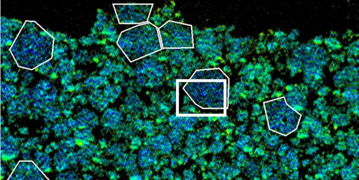 Science snapshots from Berkeley Lab