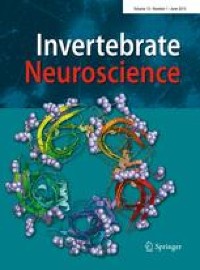 Selectively RNA interaction by a hnRNPA/B-like protein at presynaptic terminal of squid neuron