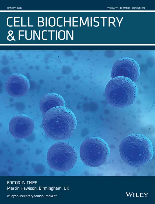 Demethyleneberberine promotes apoptosis and suppresses TGF‐β/Smads induced EMT in the colon cancer cells HCT‐116