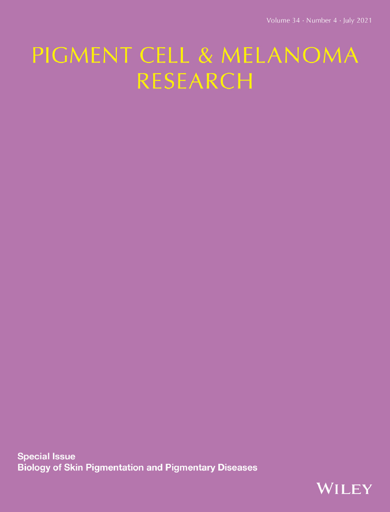 Drosophila yellow‐h encodes dopaminechrome tautomerase: A new enzyme in the eumelanin biosynthetic pathway