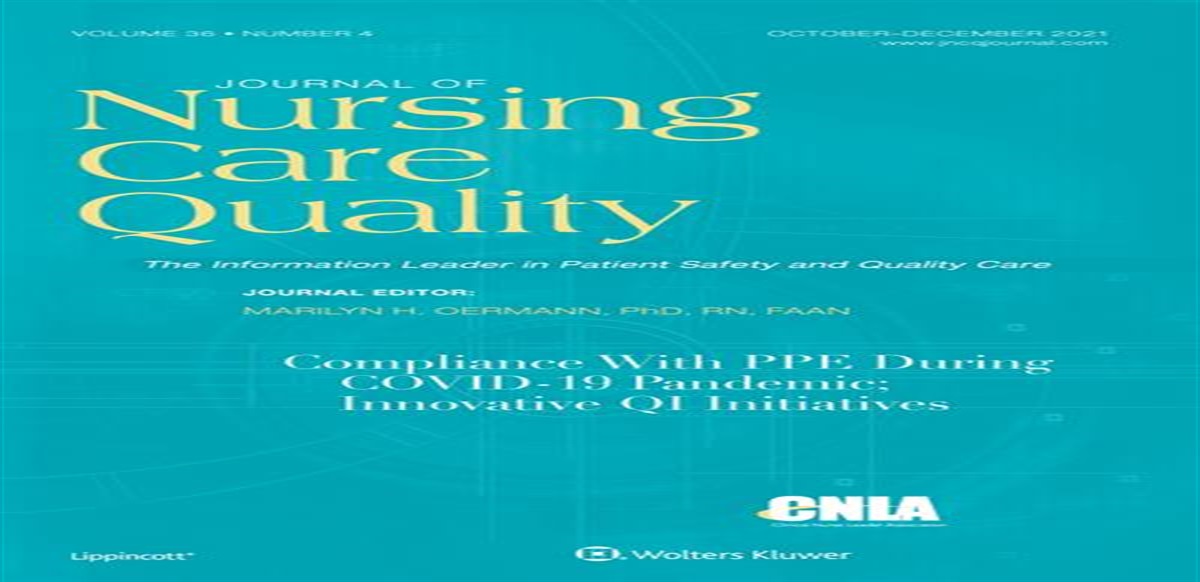 A Robust Initiative to Decrease the Total Number of Central Line–Associated Bloodstream Infections: Clinical Nurse Leaders Facilitating Change