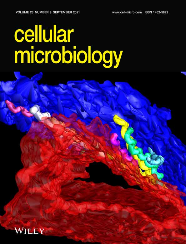 Rickettsia conorii Survival in THP‐1 Macrophages Involves Host Lipid Droplet Alterations and Active Rickettsial Protein Production