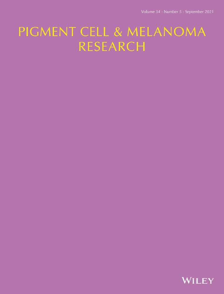 First‐line atezolizumab monotherapy in patients with advanced BRAFV600 wild‐type melanoma
