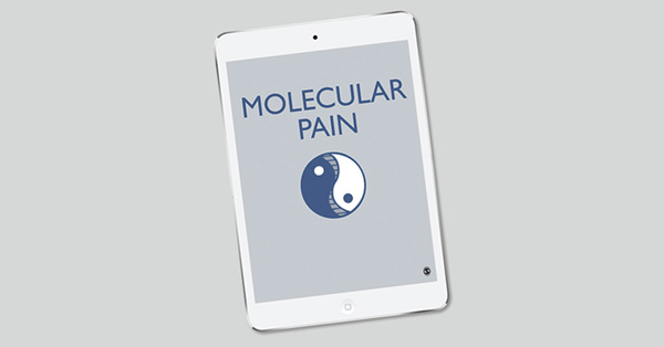 Interferon-β suppresses inflammatory pain through activating µ-opioid receptor