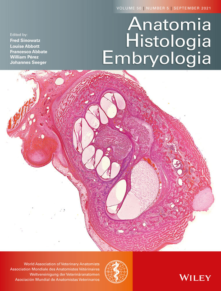 Swine viscera preservation in hypersaturated salt solution after alcohol fixation as a preparation method for educational purposes